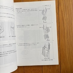 柔道整復学の画像