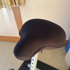 アルインコ製フィットネスバイクの画像