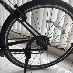 BIANCHI 自転車 の画像