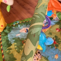 フィッシャープライス　ベビージム　レインフォレストの画像