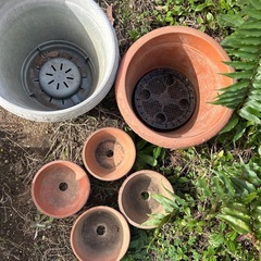 差し上げます　植木鉢6個セット　ガーデニングお庭プランターガーデンお花寄せ植えの画像