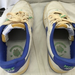 ⭐︎ドリーム2号館⭐︎ ジモティー割引　NIKE/ローカットスニーカー/FJ5440-133/27cm/ブルーの画像