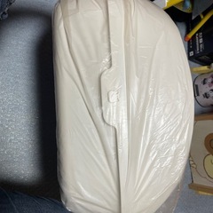 猫のシステムトイレの画像