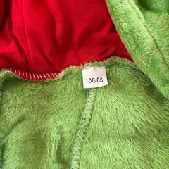 着ぐるみ　　ドラゴン　100の画像