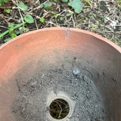 差し上げます　植木鉢6個セット　ガーデニングお庭プランターガーデンお花寄せ植えの画像