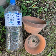 差し上げます　植木鉢6個セット　ガーデニングお庭プランターガーデンお花寄せ植えの画像