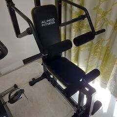 ALINCO FITNESS マルチワークアウトジム FAG2022の画像