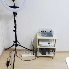 観葉植物などの画像