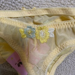 ワコールサルートルージュ　Ｍサイズ　イエローの画像