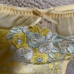 ワコールサルートルージュ　Ｍサイズ　イエローの画像