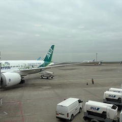 上京してきて一人がさみしいです