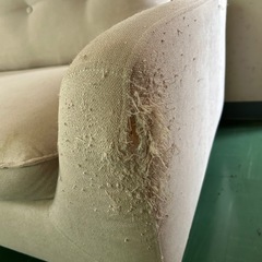 ニトリのソファーの画像