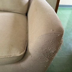 ニトリのソファーの画像