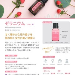 ドテラ doTERRAの画像