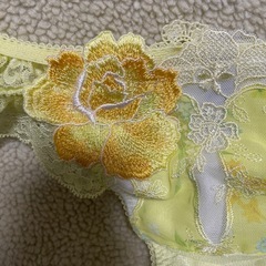 ワコールサルート　サイズＭ　新品未使用タグなしの画像