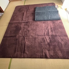（お取引中）ホットカ－ペット・絨毯セットの画像