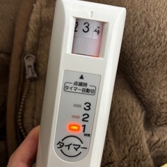 ユーイング　電気毛布　おひとりさまっとの画像