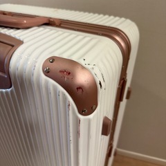 キャリーケース(1〜2週間用)※一般的なLサイズの画像