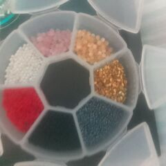 テグス類の画像