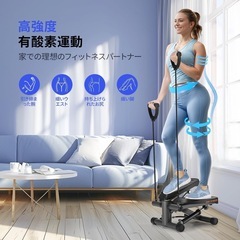 【新品未使用】ステッパー ツイストステッパー 筋トレ 有酸素運動 ダイエット トレーニングの画像