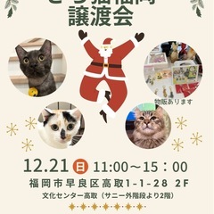 12/21 さち猫福岡譲渡会　文化センター高取