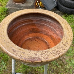 メダカ　蓮　ガーデニング　庭　　火鉢の画像