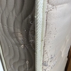 マットレス　シングルの画像