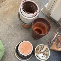 2口IHクッキング、ティファール、植木鉢の画像