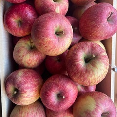 【青森県産】【送料無料】 【産地直送】【サンふじ】【家庭用】【厳重梱包】【10KG】の画像