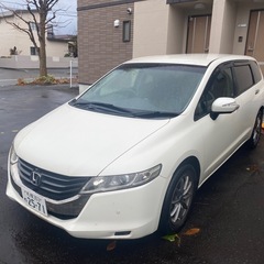 オデッセイの画像