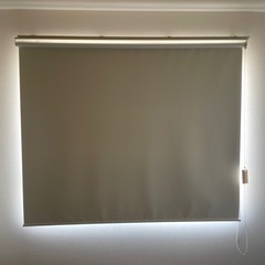 　ニトリ遮光ロールスクリーン（ドルフィンWH 165X220)の画像