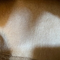 ZARAカーディガン　メンズの画像