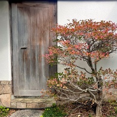 植栽悩んでませんか？の画像