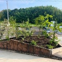 植栽悩んでませんか？の画像