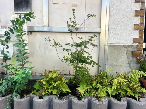 植栽悩んでませんか？