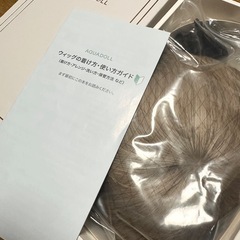 本日お渡し可能【ほぼ新品】ウィッグ／スマートボーイッシュ金髪（アッシュベージュ）の画像