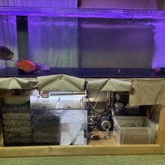 アクリル水槽の画像