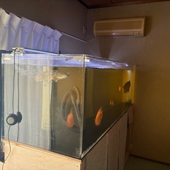 アクリル水槽の画像