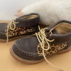 ヒョウ柄の靴の画像