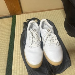 adidas ゴルフシューズ 25.5の画像