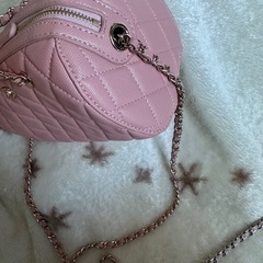 キャビアスキンチェーン2wayばっバッグの画像