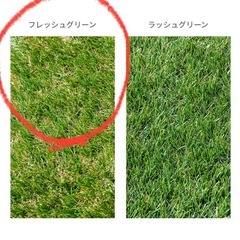 人工芝 (モダンデコ　新品)の画像