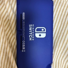 Switchライト　本体　の画像