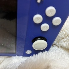 Switchライト　本体　の画像