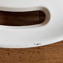 ラパン 14インチ ホイールキャップの画像