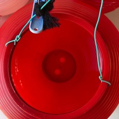 🏮ちょうちん🏮の画像