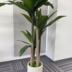 フェイクグリーン　観葉植物の画像