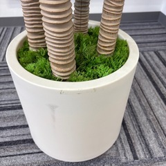 フェイクグリーン　観葉植物の画像