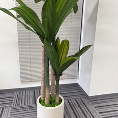 フェイクグリーン　観葉植物の画像