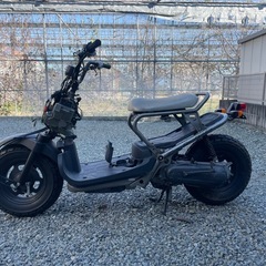 不動車　ホンダ　ズーマー　スペシャルエディション　　部品取り　　　の画像